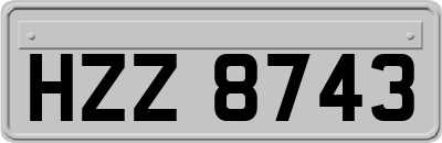 HZZ8743