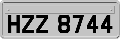 HZZ8744