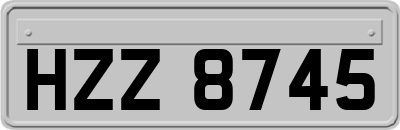 HZZ8745