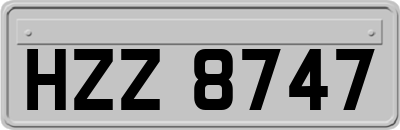 HZZ8747