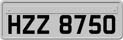 HZZ8750