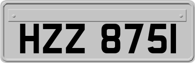 HZZ8751