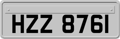 HZZ8761
