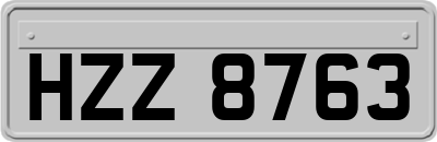HZZ8763