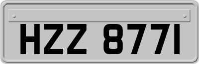 HZZ8771