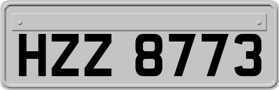 HZZ8773