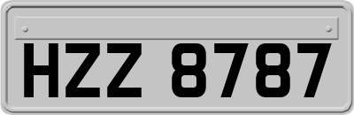HZZ8787