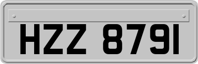 HZZ8791