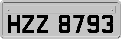 HZZ8793