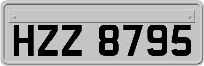 HZZ8795
