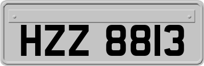 HZZ8813