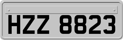 HZZ8823