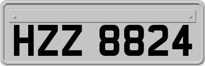 HZZ8824
