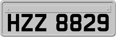 HZZ8829