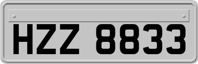 HZZ8833