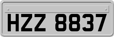 HZZ8837