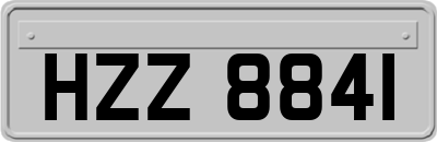 HZZ8841