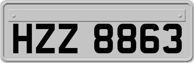 HZZ8863