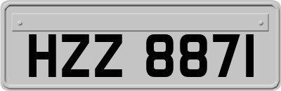 HZZ8871
