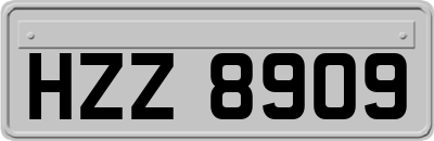 HZZ8909