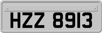 HZZ8913