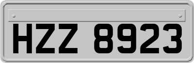 HZZ8923
