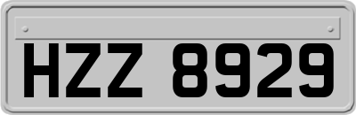 HZZ8929