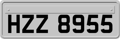 HZZ8955