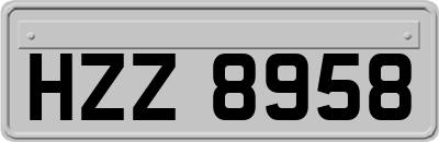 HZZ8958