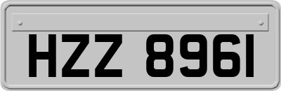 HZZ8961