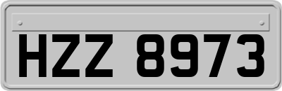 HZZ8973