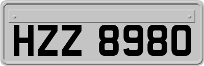 HZZ8980