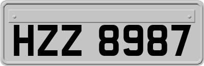HZZ8987
