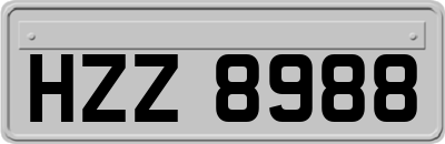 HZZ8988