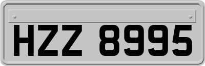 HZZ8995
