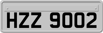 HZZ9002