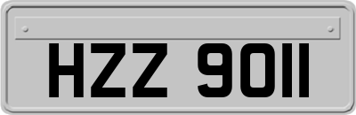 HZZ9011