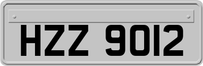 HZZ9012