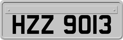 HZZ9013