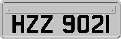 HZZ9021