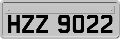 HZZ9022
