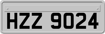 HZZ9024