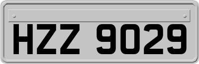 HZZ9029