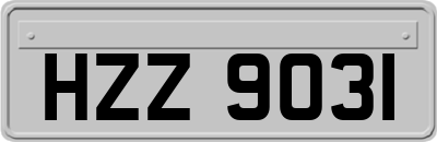 HZZ9031