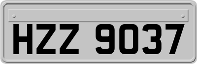 HZZ9037