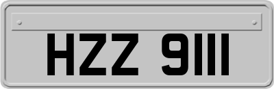 HZZ9111