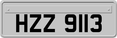 HZZ9113