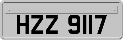 HZZ9117