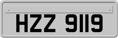 HZZ9119