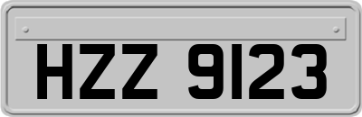 HZZ9123